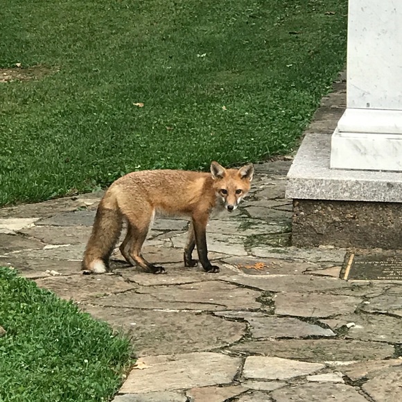 Meet your Posher, Eric - Picture 1 of 1